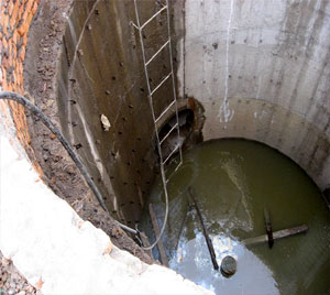 搡老熟女老女人一区二区