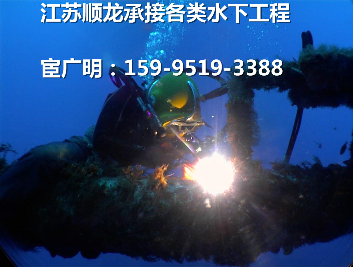 搡老熟女老女人一区二区