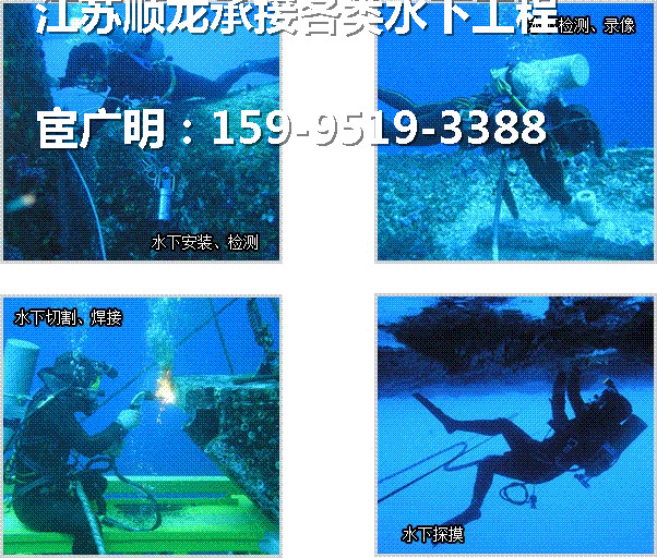 搡老熟女老女人一区二区