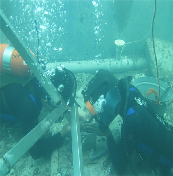 搡老熟女老女人一区二区